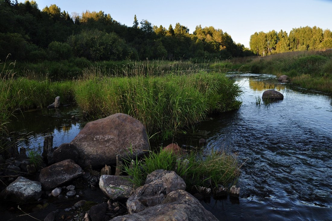 Райская открытка