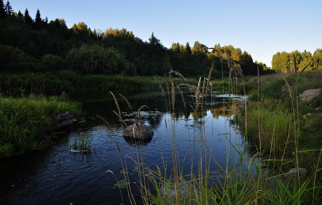 Вечер на реке Масляная