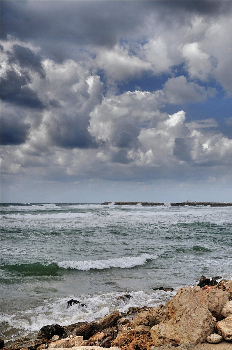 Где далеко на море...