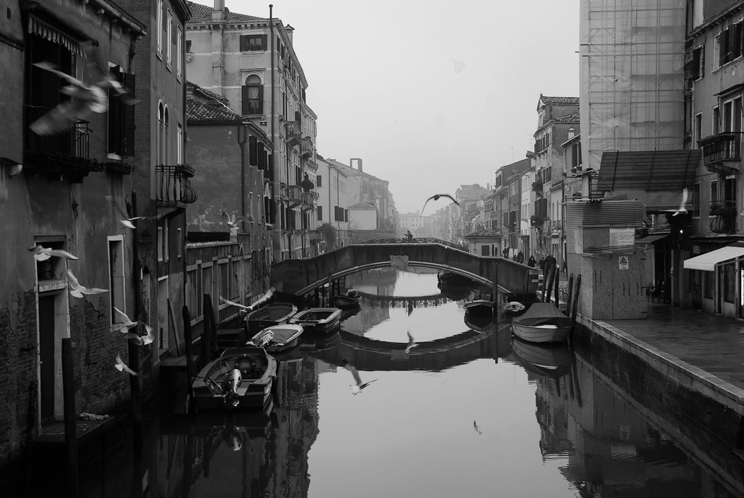 За Академией