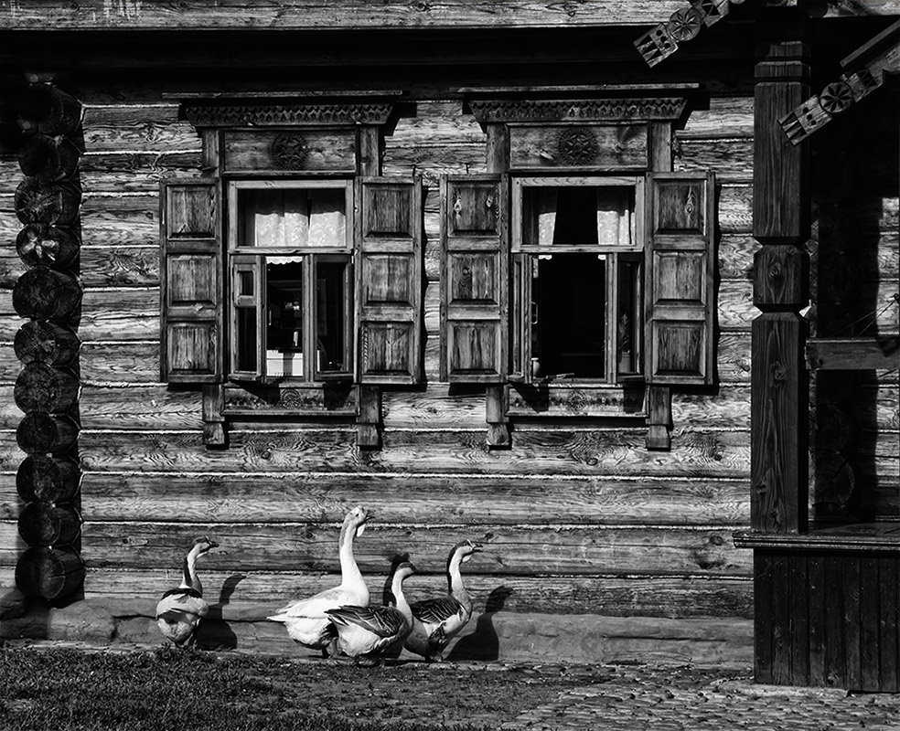 Жили гуси у бабуси