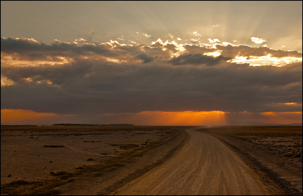 В желтой жаркой Африке