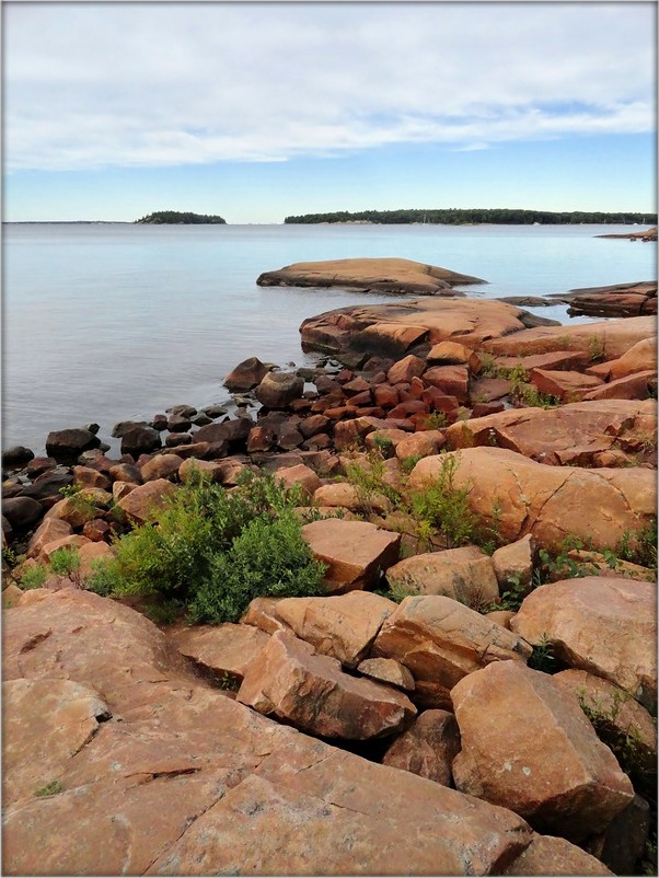 утренний свет