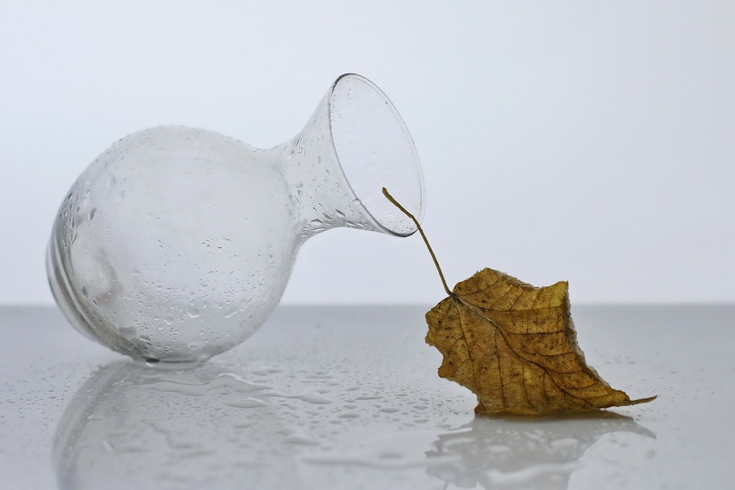 забытый осенью твоей