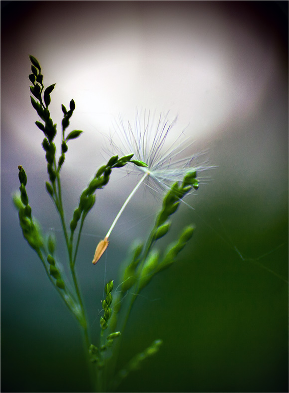 К свету, на свободу