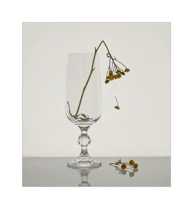 есть только миг...