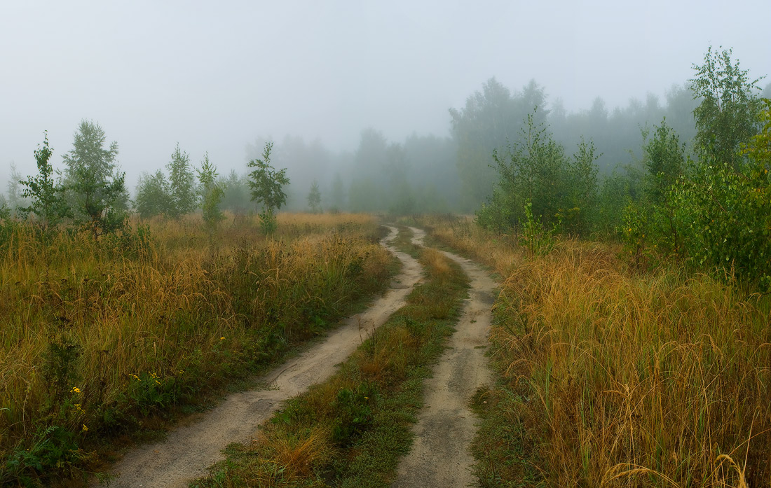 В преддверии осени