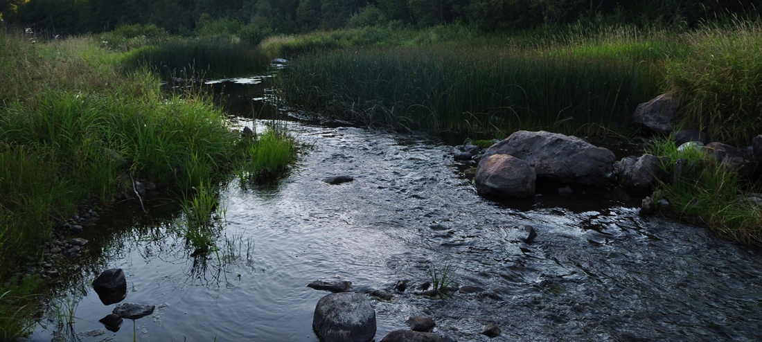 Про Масляную