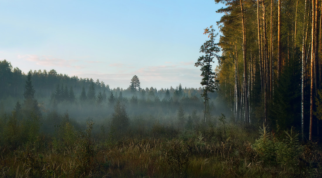 Первые лучи