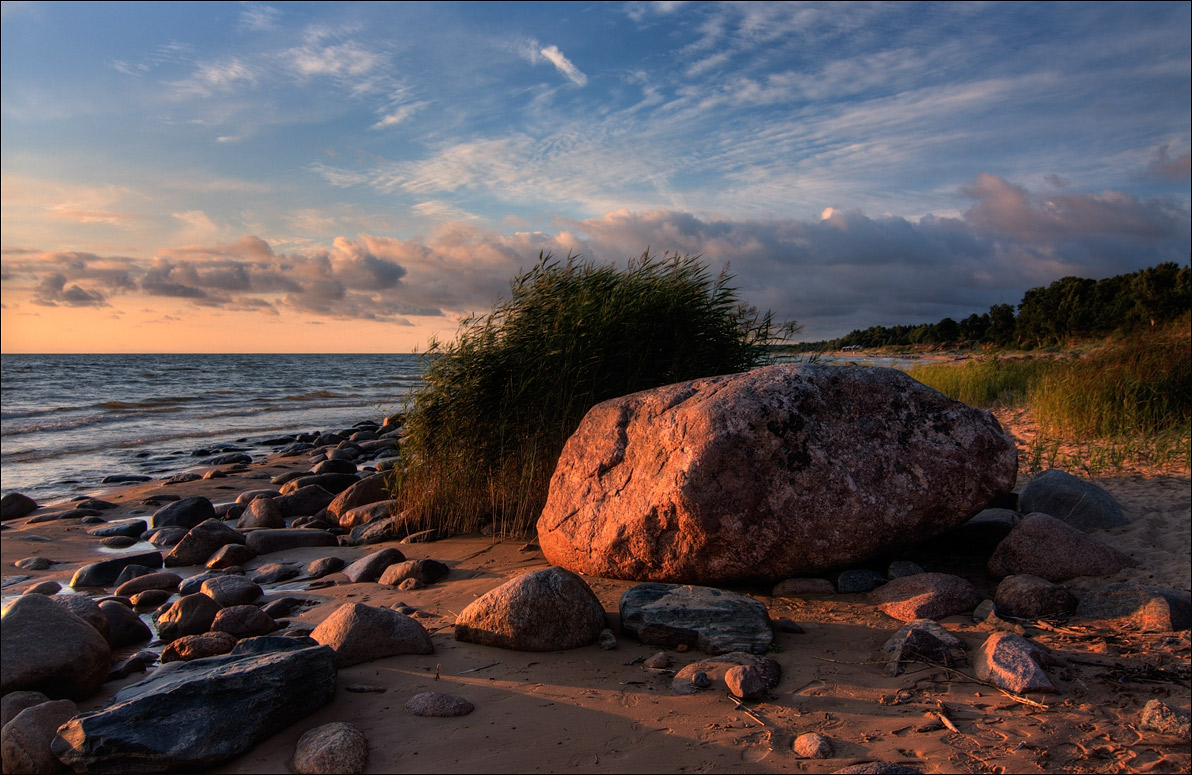 Места под солнцем