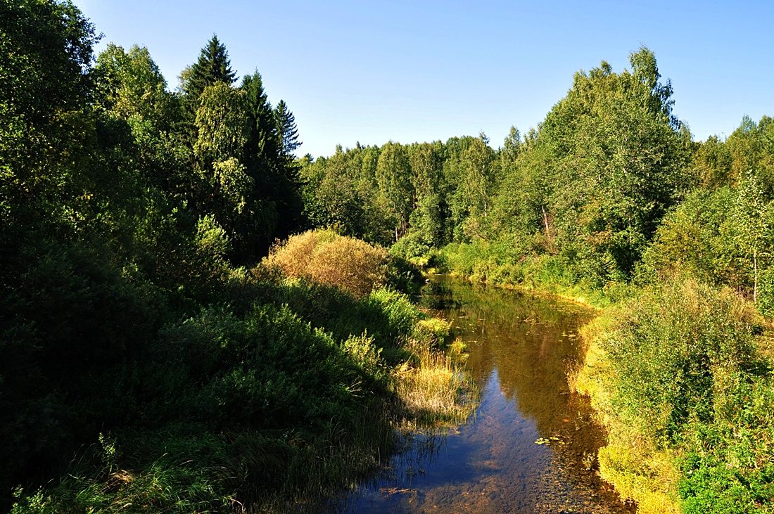 Масляный этюд