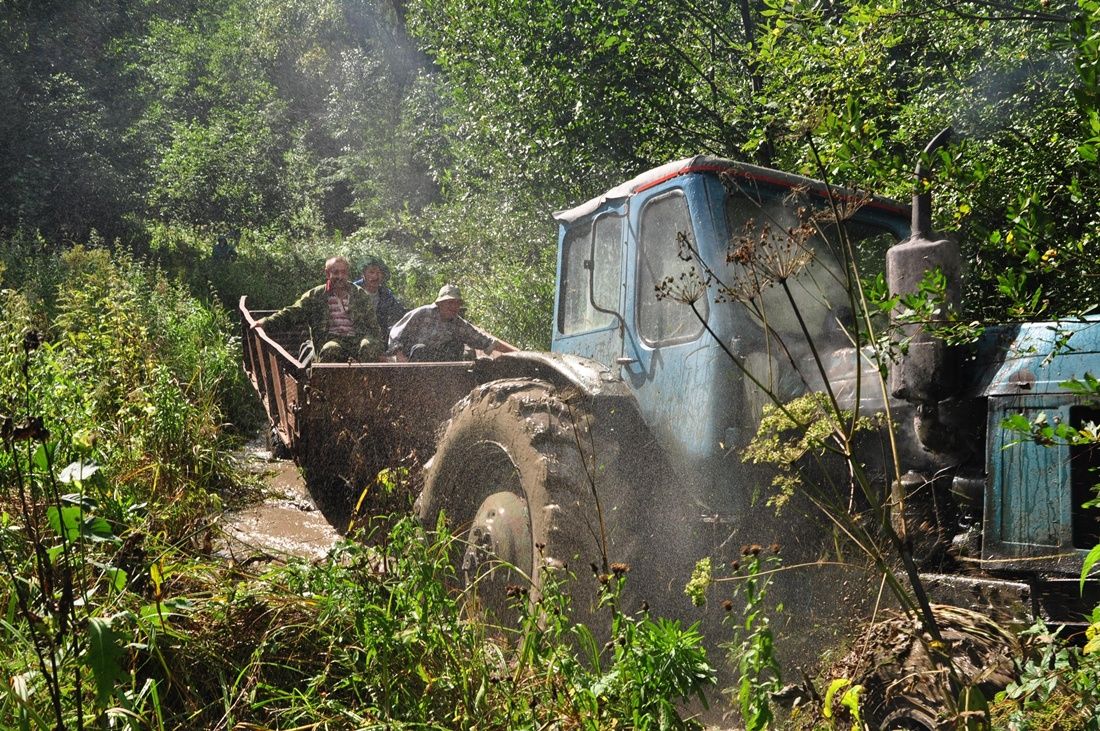 Лесной экстрим