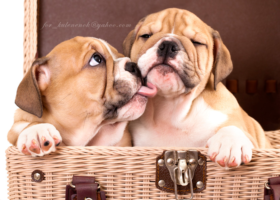 Наверно это любовь...