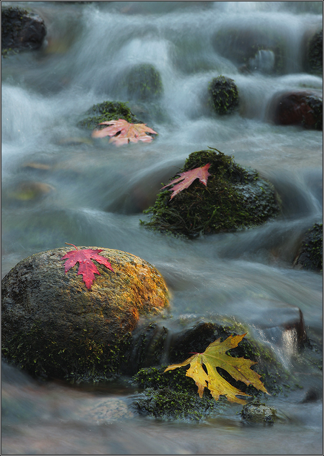 Примета времени