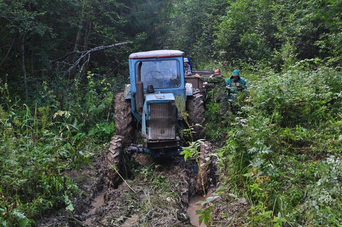 Нам дорога не нужна