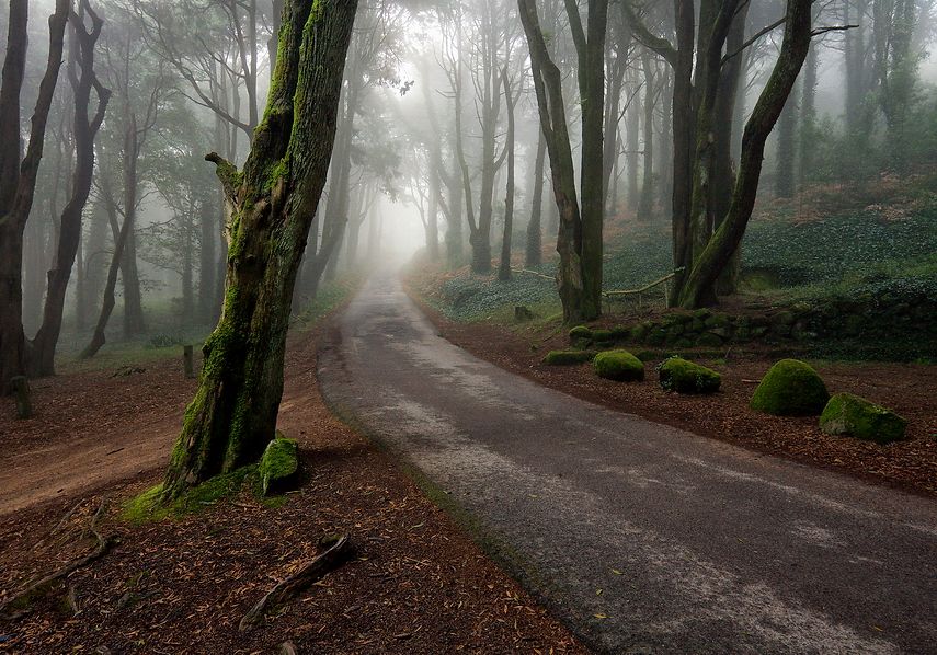 Молодая Осень.