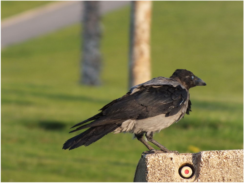 ПОПАДИ В КРАСНЕНЬКОЕ!!