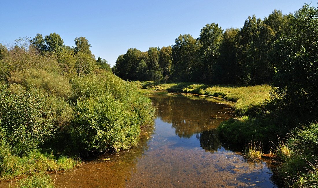 Светлый лик природы