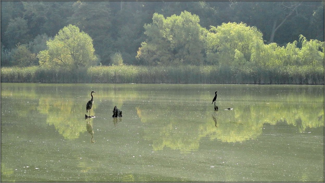 еще не осень... 2