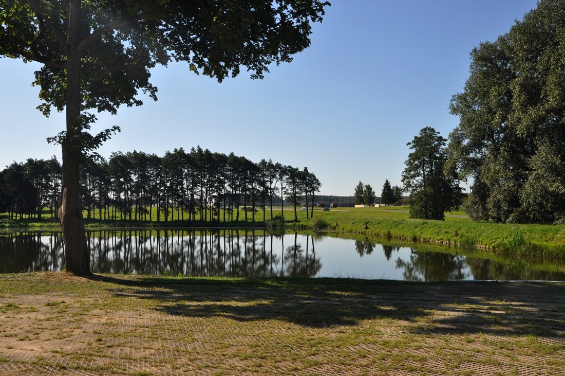 Мирский пруд