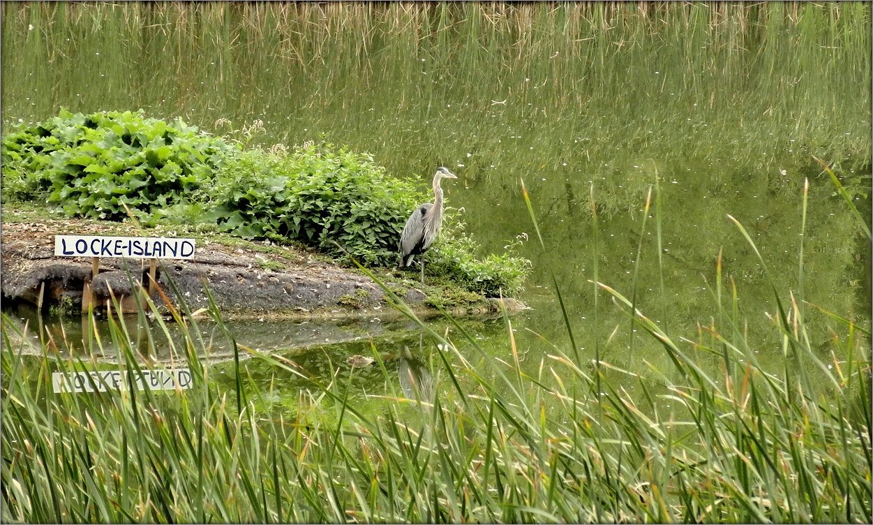 еще не осень... 3