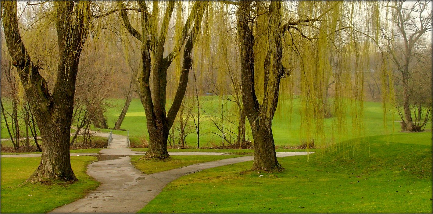 весенние дожди