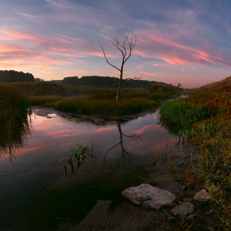 Посреди Рассвета