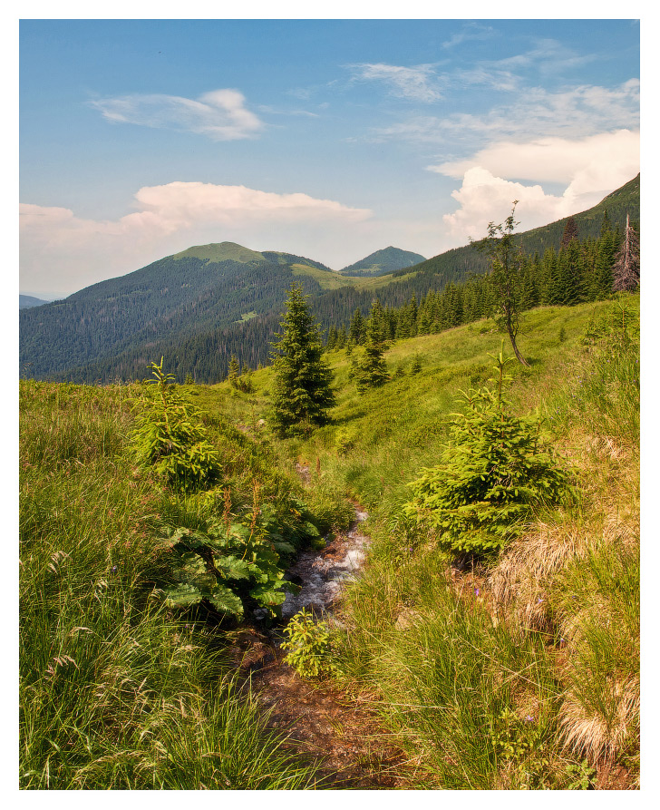 Карпатская открытка