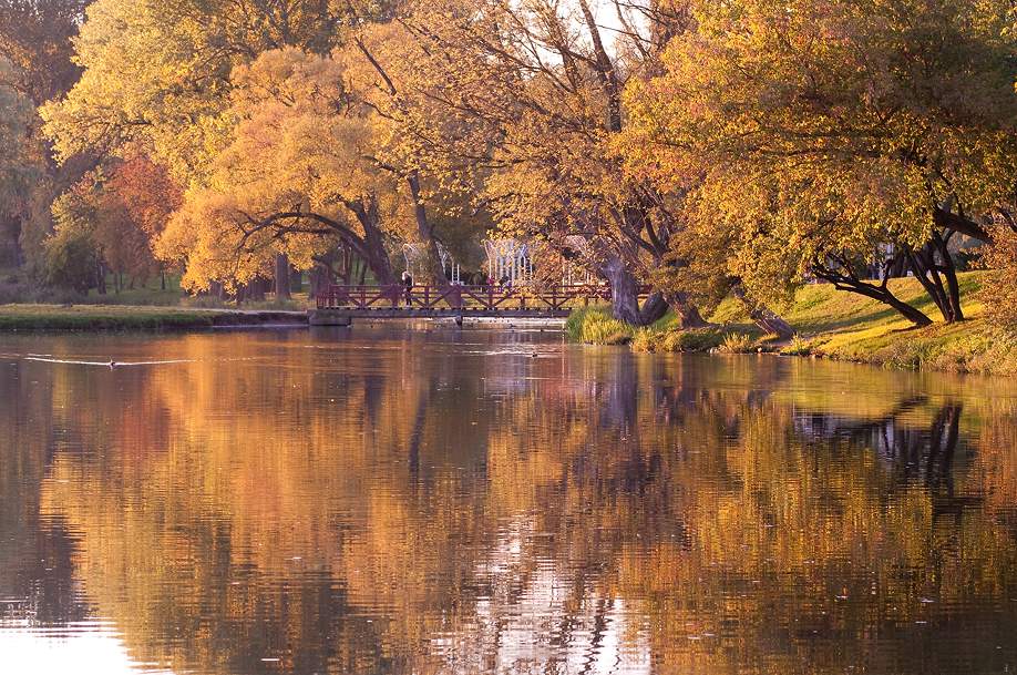 .............Золото осени...........