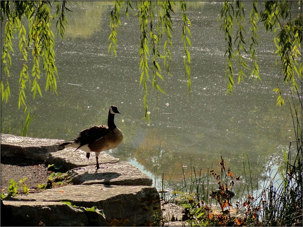 еще не осень... 4