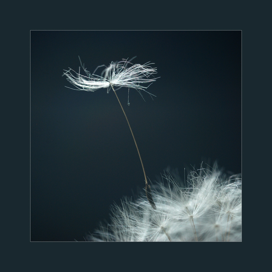 на цыпочках