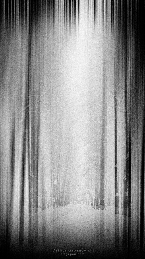 [ P e r m a f r o s t ]