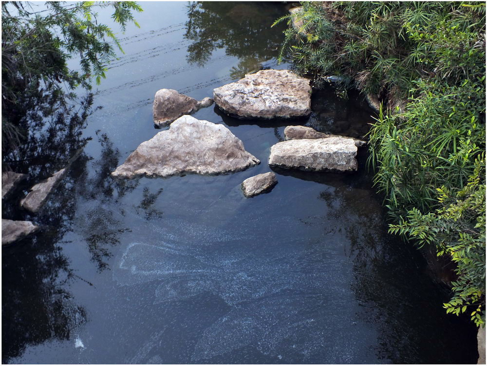 СТОЯЧАЯ ВОДА