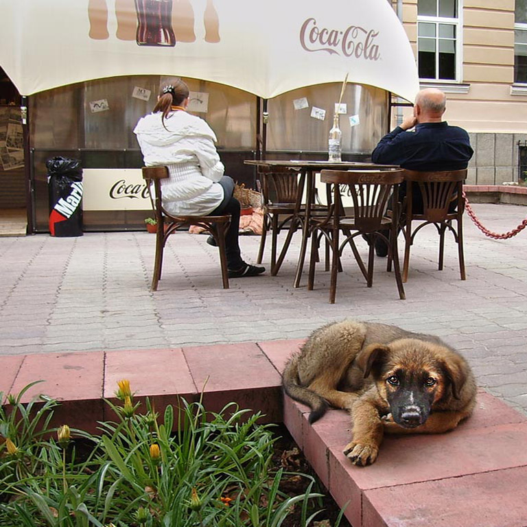 Парижские проблемы