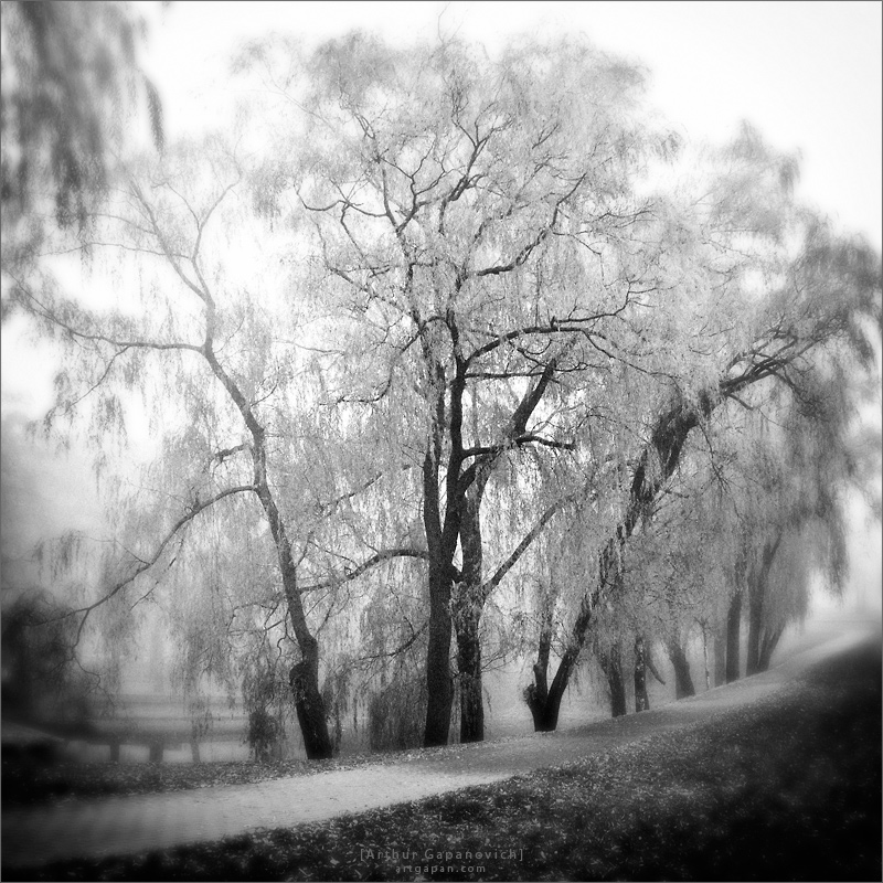 [ And Foggy And Dreary ]