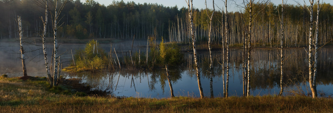 Утро на Саврасове