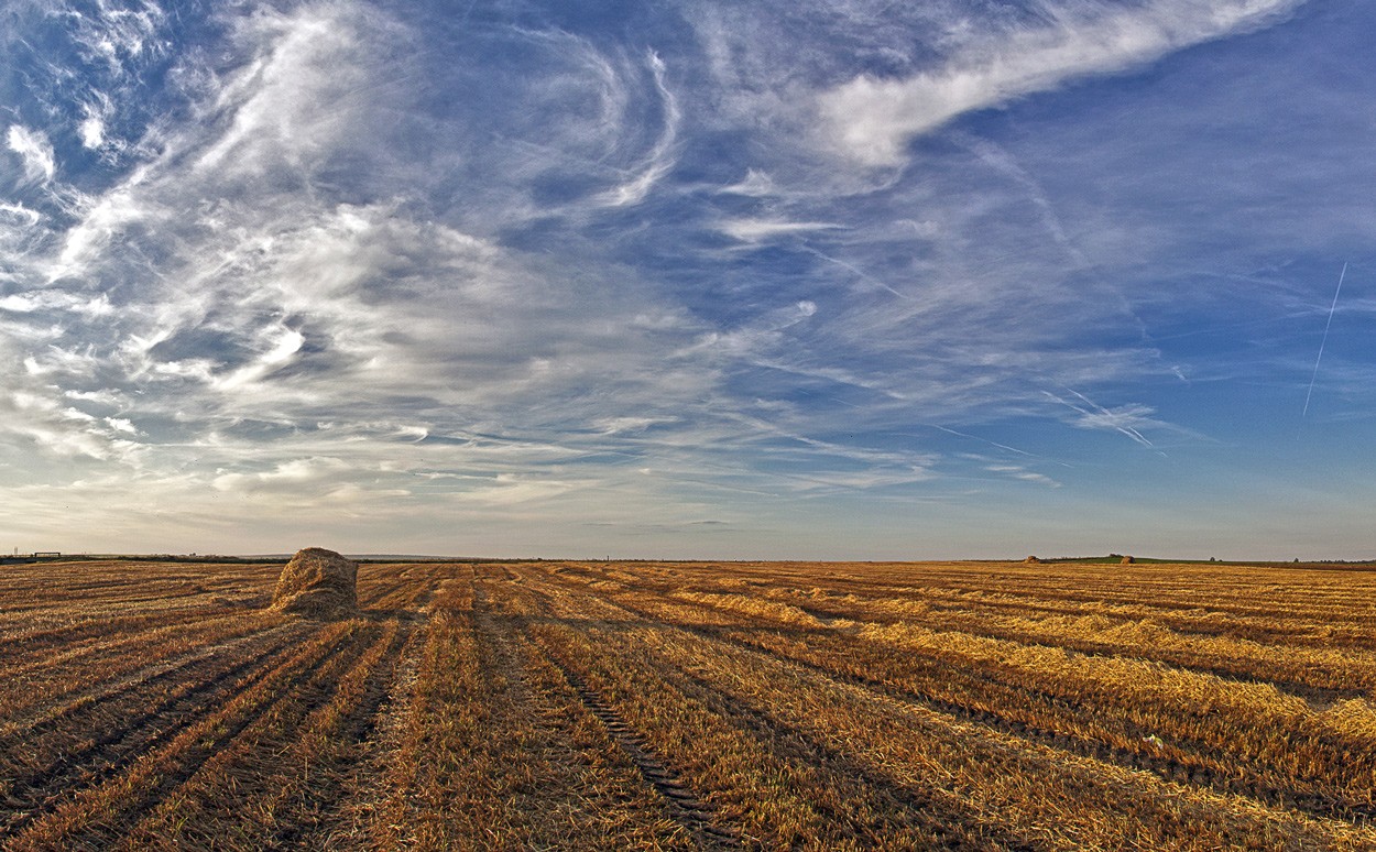 Один в поле