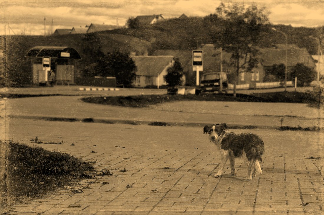 Снова не приехал