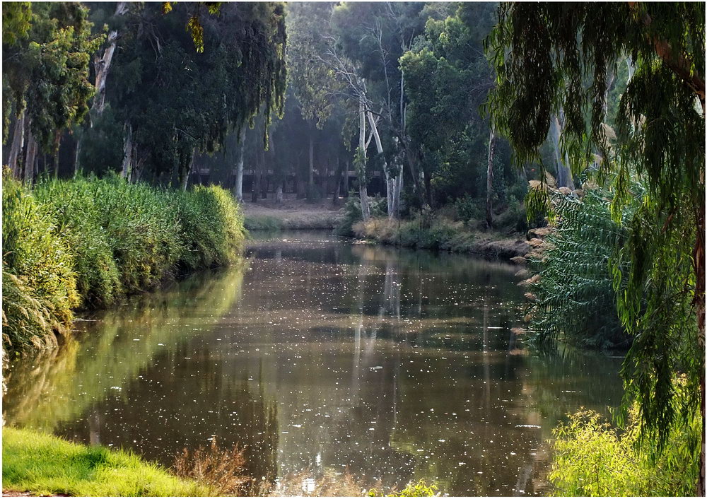 ОСЕННИЙ ПЕЙЗАЖ