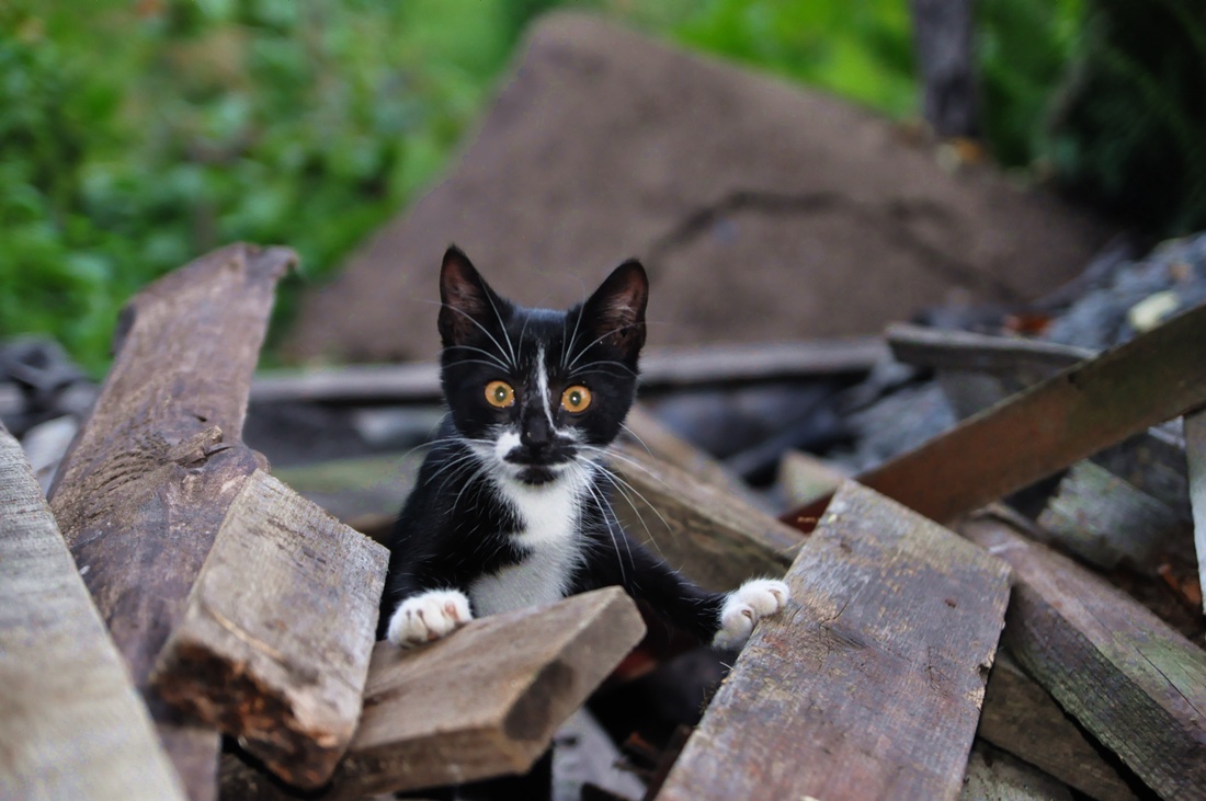 Ты ещё здесь?!