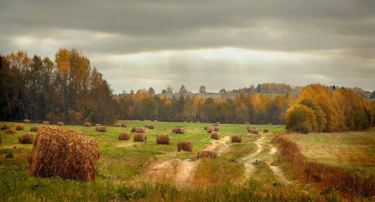 И снова эти катушечки...