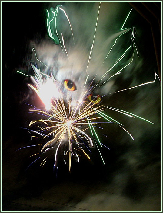 НЕБЕСНАЯ МЫШЬ