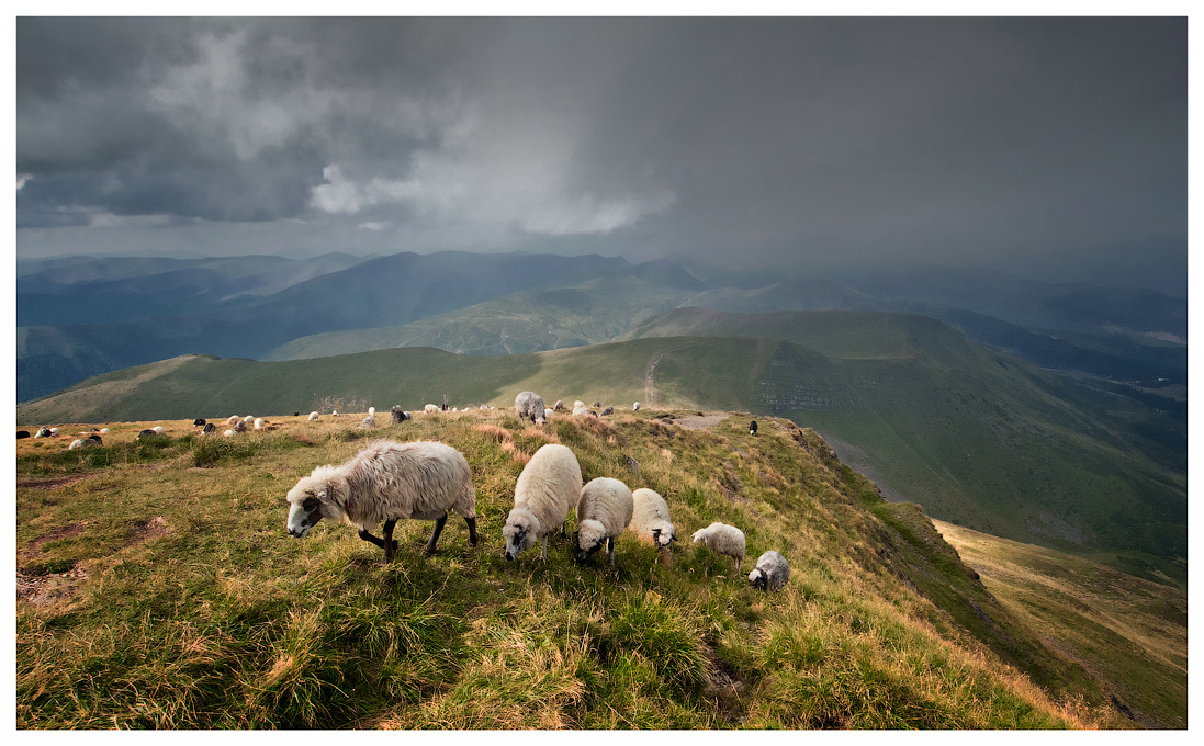 Закарпатская зарисовка...