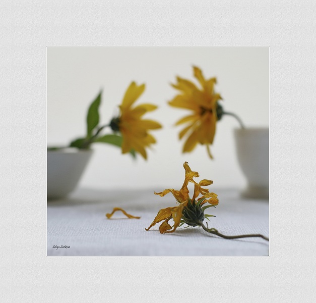 третий лишний