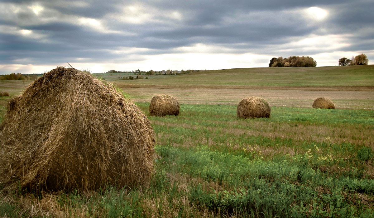 и ещё катушечки