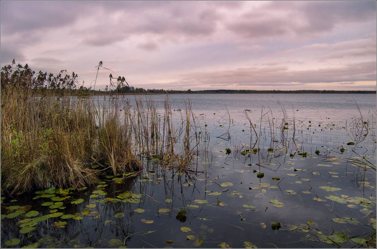 Осенний вечер...