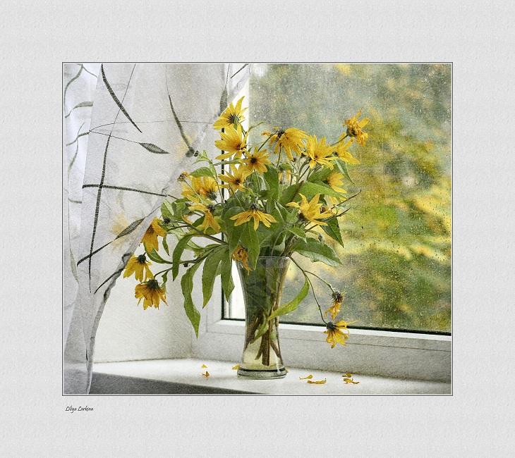 когда идёт дождь....