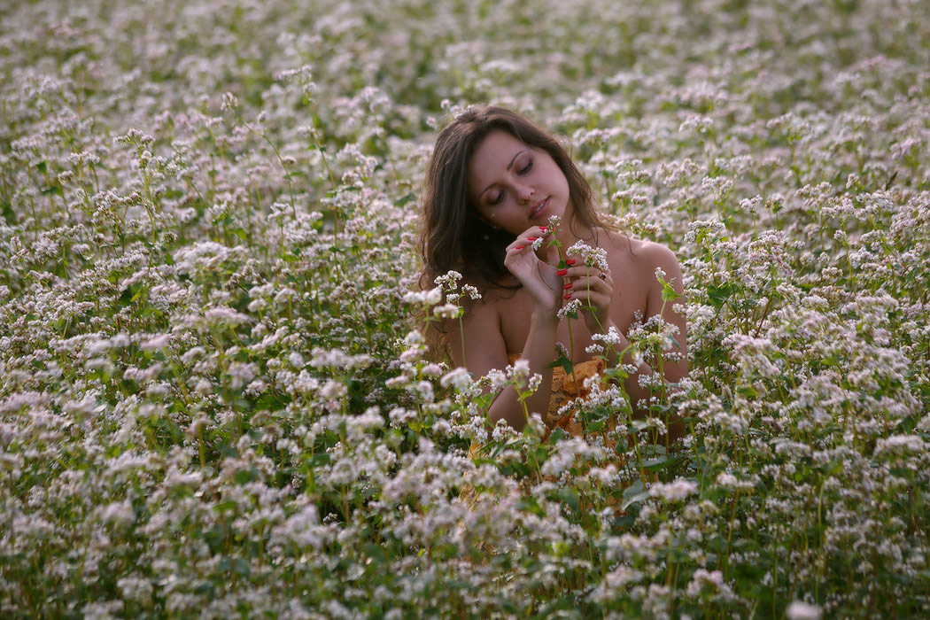 Вспоминая Лето