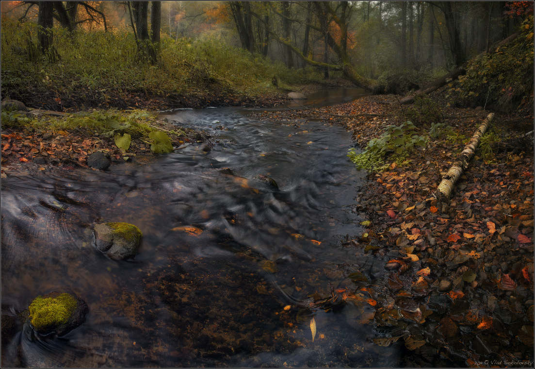 / Дыхание осени /