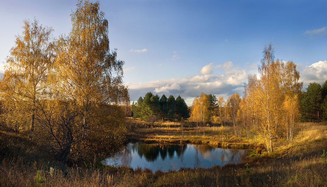 Осень. Комары